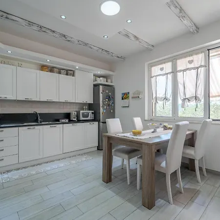 Pet Friendly In Holiday home